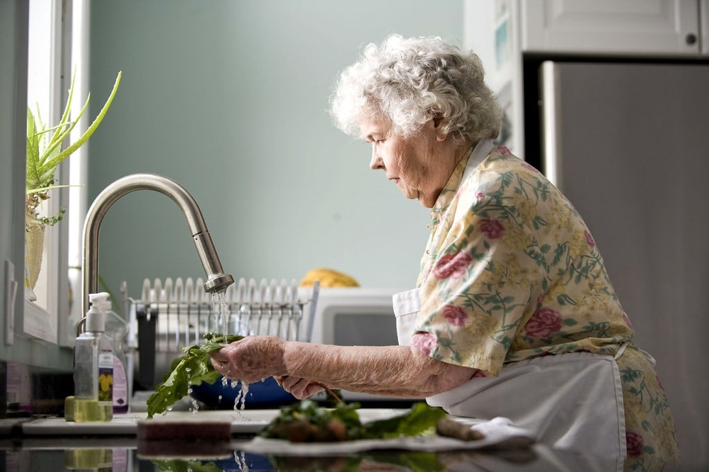 Nutrition for the elderly: Create the best meal plan for Seniors